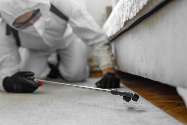Professional Cockroach Control technician working in Lexington, WA