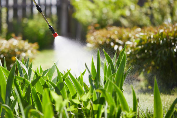 24/7 Emergency Cockroach Control experts in Lexington, WA